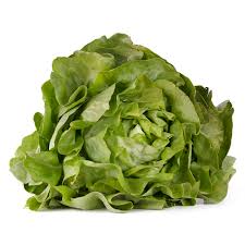 VERDURA LECHUGA SEDA X UND 