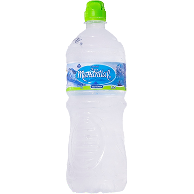 AGUA MANANTIAL S/G 1L.