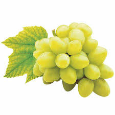 UVA FRUTA X KG